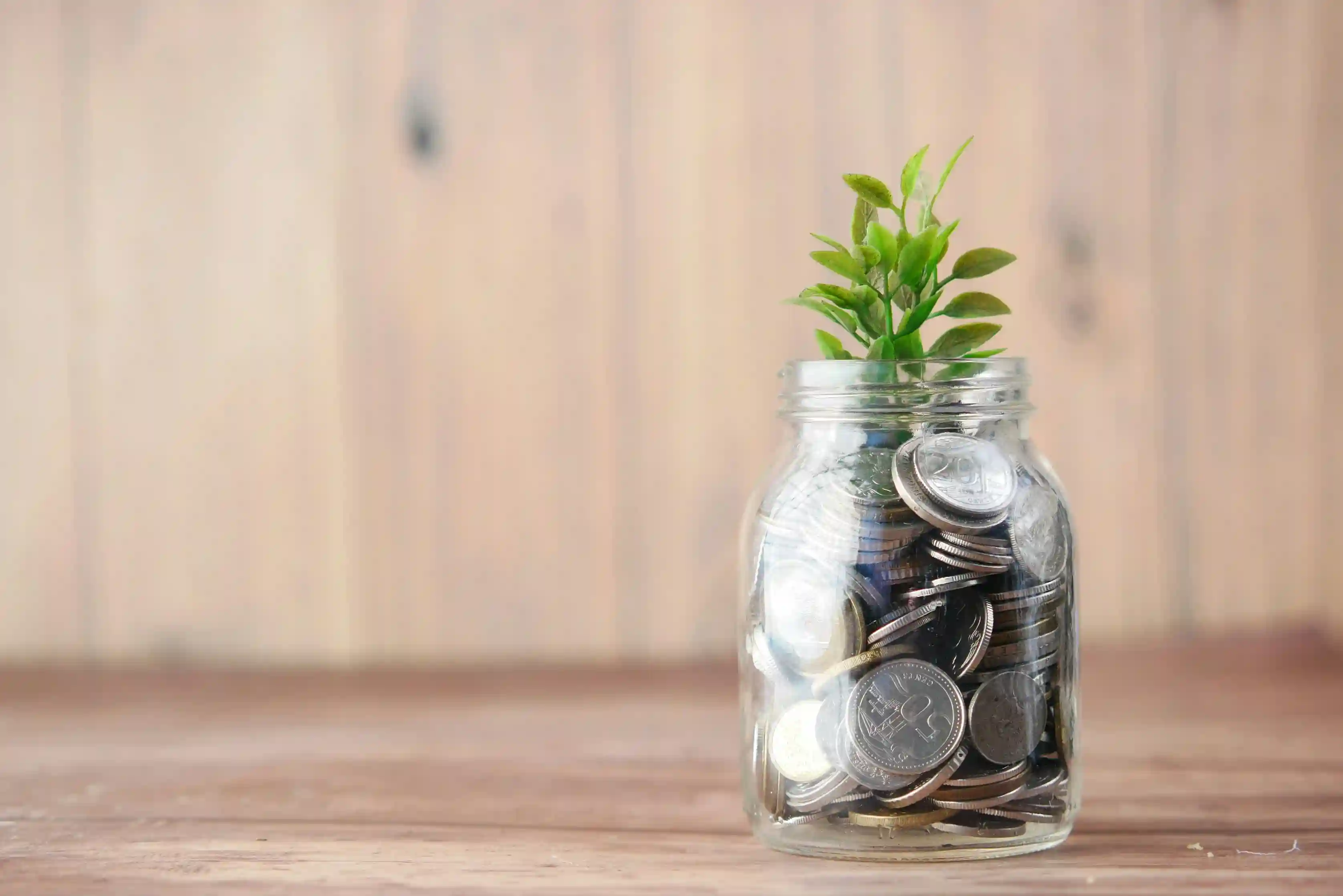 Business Optimization